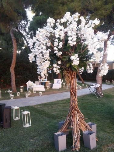 Το ανθοπωλείο Fleur du Jour