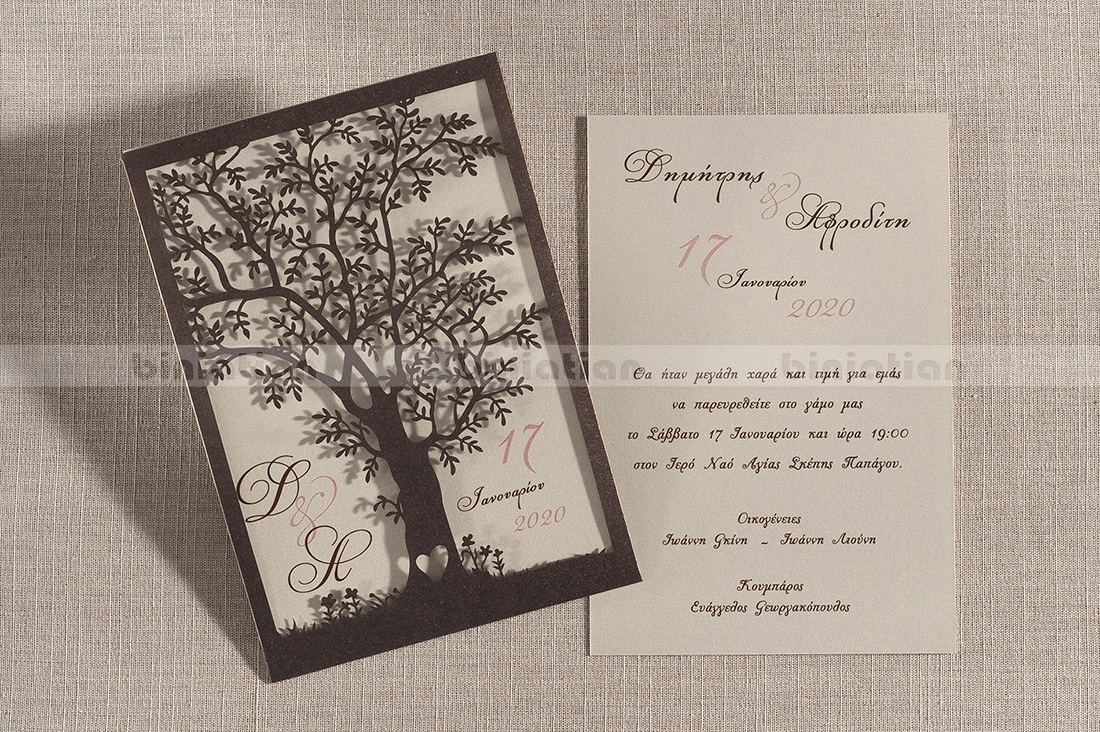 Biniαtiαn Invitations