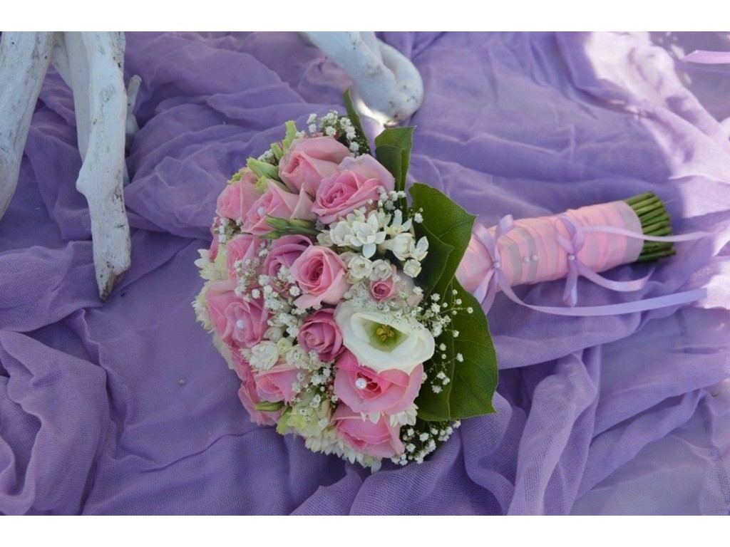 Frezia FLOWERS