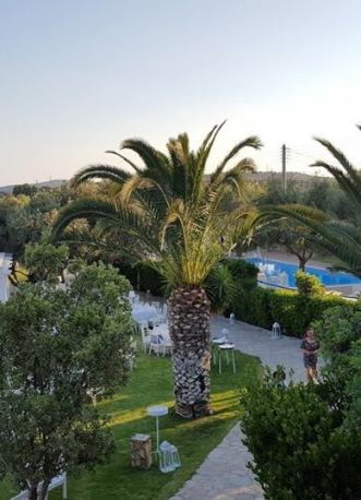 Κτήμα Γαία, Загородные Площадки