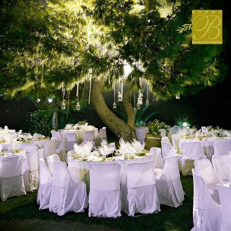 Κτήμα Βλαχογιάννη 