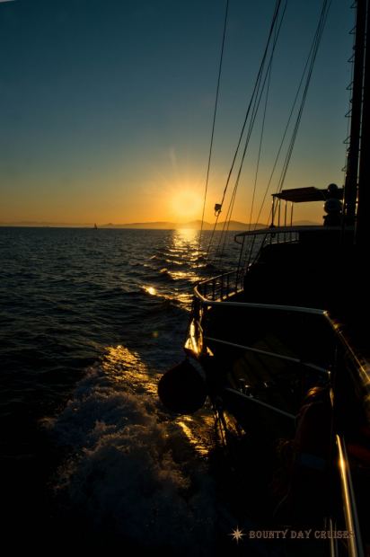 Bounty Day Cruises