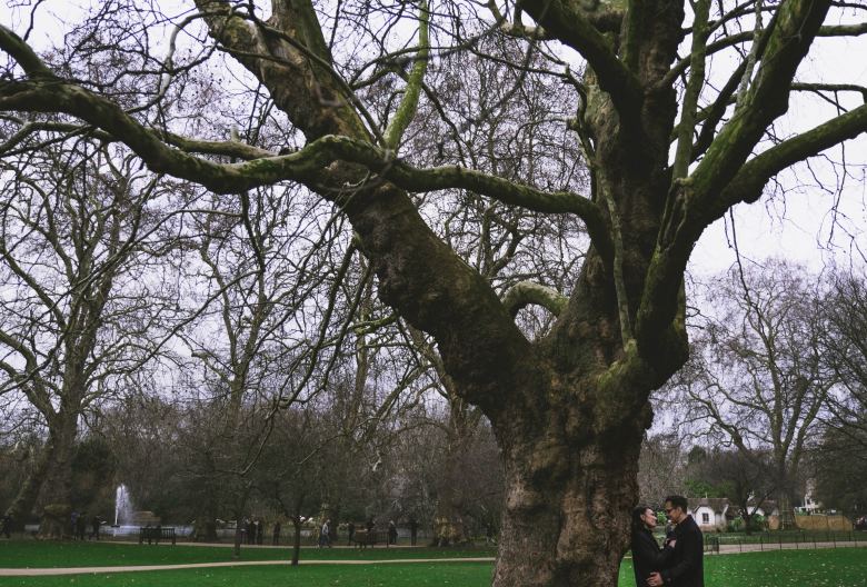 PreWedding in London, Перед Свадьбой