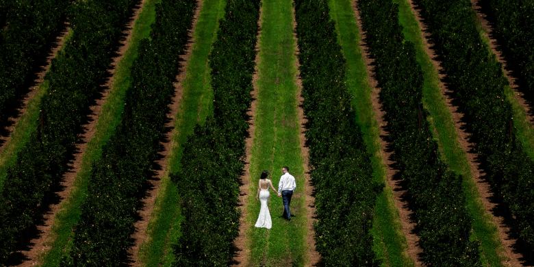 DimitrisPitsilkas|Photography, Wedding photographers